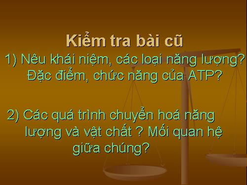 Bài 14. Enzim và vai trò của enzim trong quá trình chuyển hóa vật chất