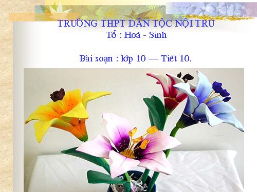 Bài 10. Tế bào nhân thực (tiếp theo)