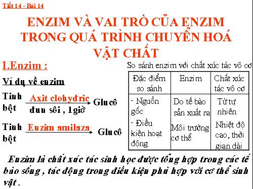 Bài 14. Enzim và vai trò của enzim trong quá trình chuyển hóa vật chất