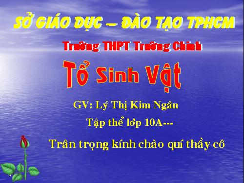 Bài 13. Khái niệm về năng lượng và chuyển hóa vật chất