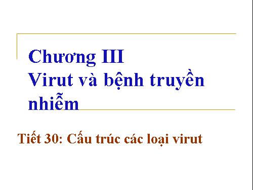 Bài 29. Cấu trúc các loại virut