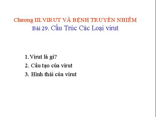 Bài 29. Cấu trúc các loại virut