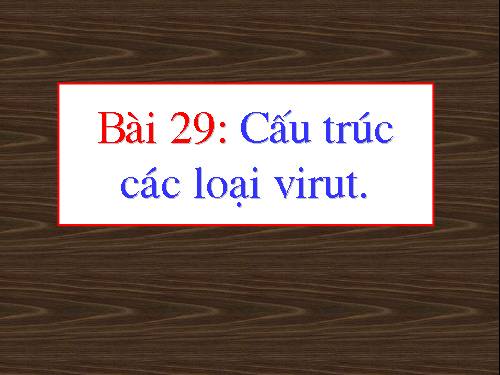 Bài 29. Cấu trúc các loại virut