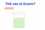 Bài 14. Enzim và vai trò của enzim trong quá trình chuyển hóa vật chất