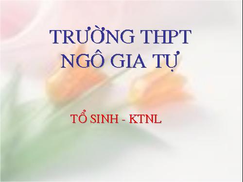 Bài 29. Cấu trúc các loại virut