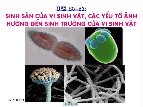 Bài 26. Sinh sản của vi sinh vật