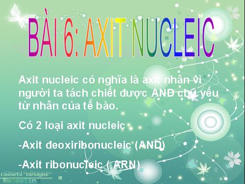 Bài 6. Axit nuclêic