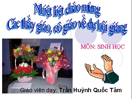 Bài 26. Sinh sản của vi sinh vật