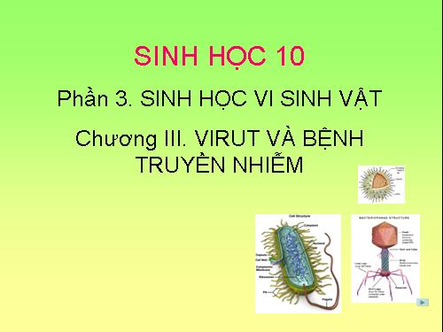 Bài 30. Sự nhân lên của virut trong tế bào chủ