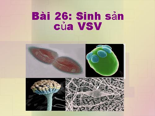 Bài 26. Sinh sản của vi sinh vật