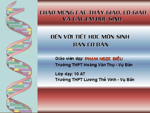 Bài 14. Enzim và vai trò của enzim trong quá trình chuyển hóa vật chất