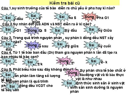 Bài 19. Giảm phân