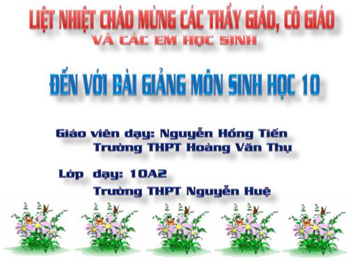 Bài 19. Giảm phân