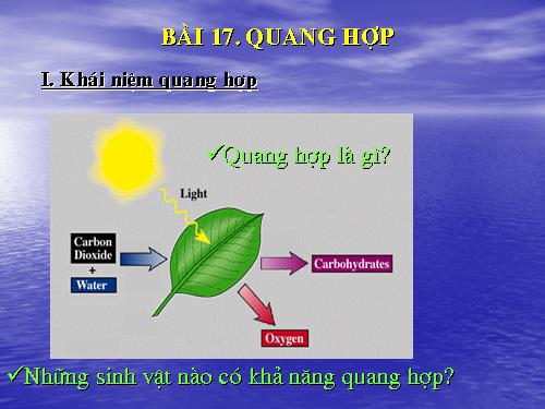 Bài 17. Quang hợp