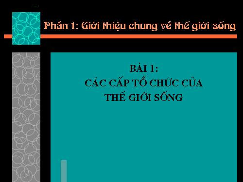 Bài 1. Các cấp tổ chức của thế giới sống