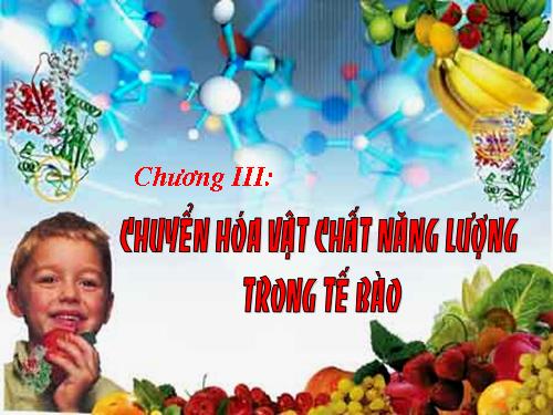 Bài 13. Khái niệm về năng lượng và chuyển hóa vật chất