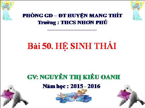 Bài 50. Hệ sinh thái