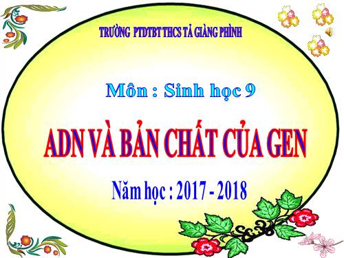 Bài 16. ADN và bản chất của gen