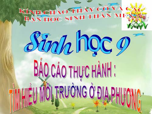 Bài 56. Thực hành: Tìm hiểu tình hình môi trường ở địa phương