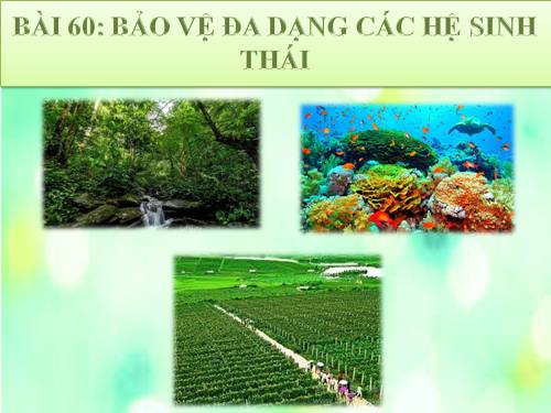 Bài 60. Bảo vệ đa dạng các hệ sinh thái