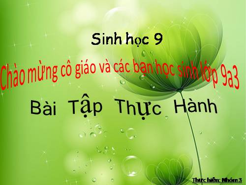 Bài 51. Thực hành: Hệ sinh thái