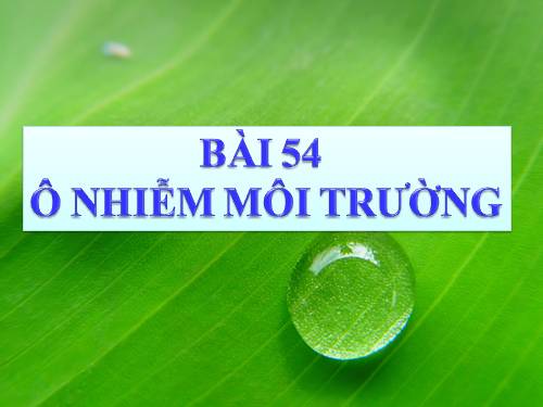 Bài 54. Ô nhiễm môi trường