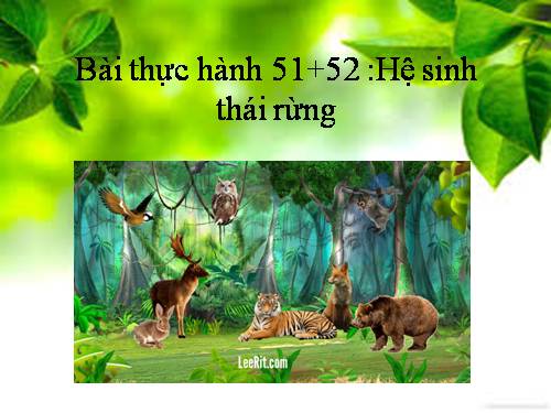 Bài 52. Thực hành: Hệ sinh thái