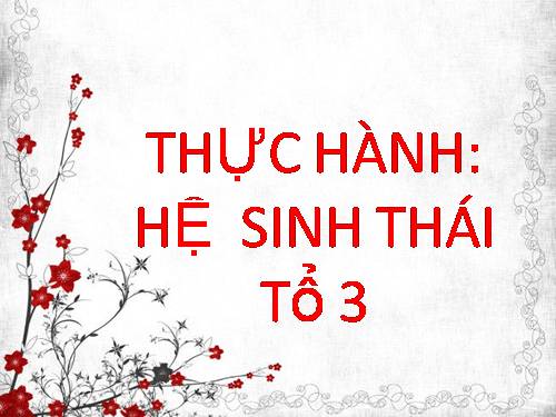 Bài 51. Thực hành: Hệ sinh thái