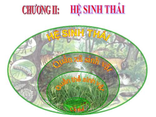 Bài 47. Quần thể sinh vật