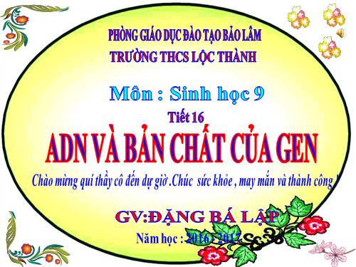 Bài 16. ADN và bản chất của gen