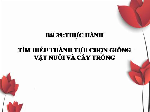 Bài 39. Thực hành: Tìm hiểu thành tựu chọn giống vật nuôi và cây trồng