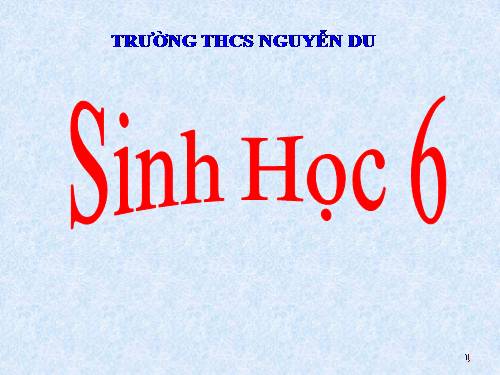 Bài 41. Môi trường và các nhân tố sinh thái