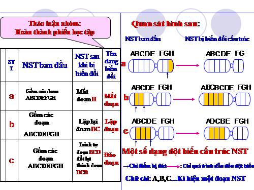 Bài 22. Đột biến cấu trúc nhiễm sắc thể