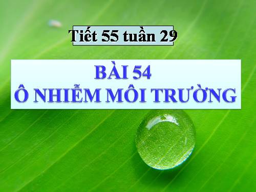 Bài 54. Ô nhiễm môi trường