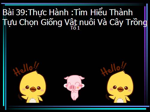 Bài 39. Thực hành: Tìm hiểu thành tựu chọn giống vật nuôi và cây trồng