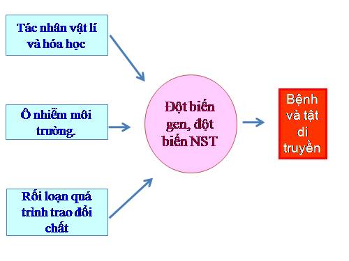 Bài 29. Bệnh và tật di truyền ở người