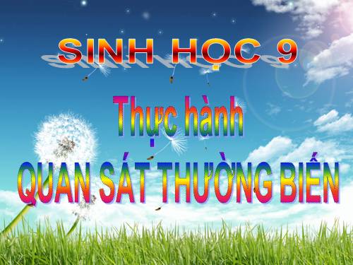 Bài 27. Thực hành: Quan sát thường biến