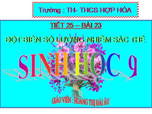 Bài 23. Đột biến số lượng nhiễm sắc thể