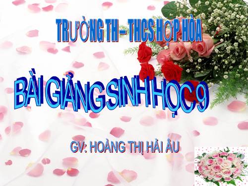 Bài 24. Đột biến số lượng nhiễm sắc thể (tiếp theo)