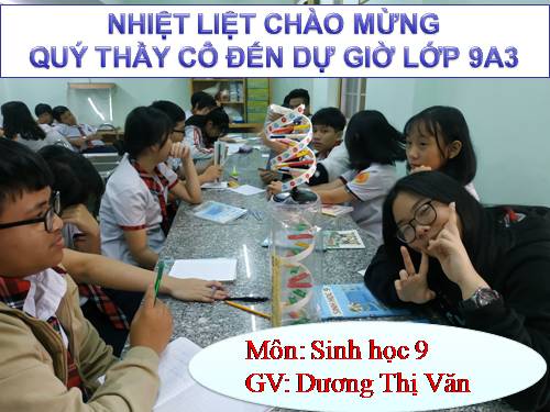 Bài 23. Đột biến số lượng nhiễm sắc thể