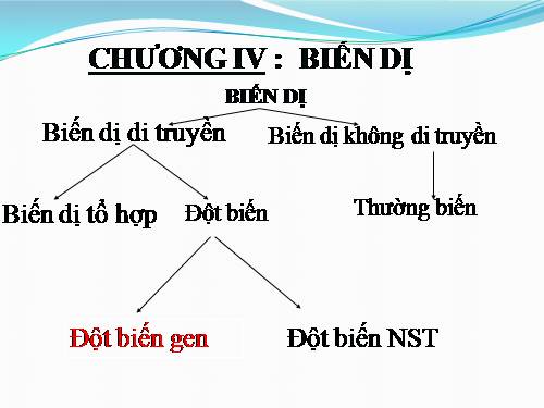 Bài 21. Đột biến gen