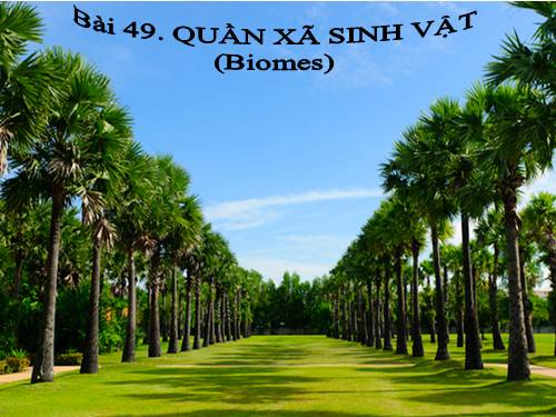 Bài 49. Quần xã sinh vật