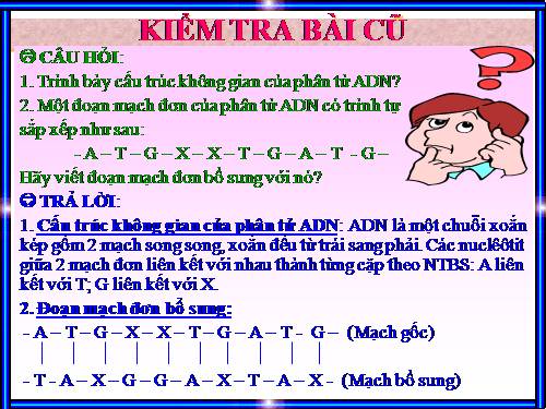 Bài 16. ADN và bản chất của gen