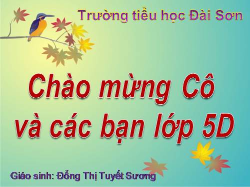 Bài 24. Châu Phi (tiếp theo)