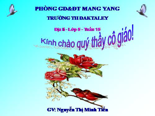 Bài 15. Thương mại và du lịch