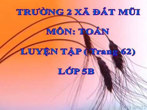 Luyện tập Trang 162