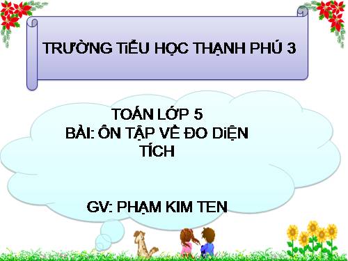 Ôn tập về đo diện tích