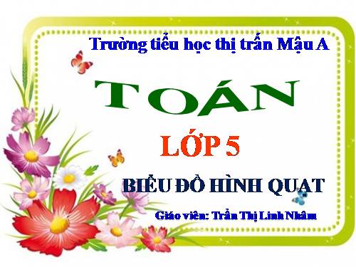 Giới thiệu biểu đồ hình quạt