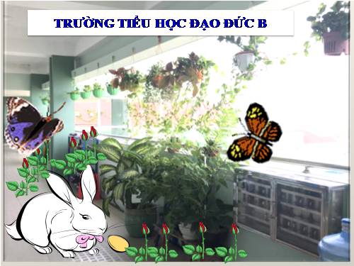 Diện tích hình tròn