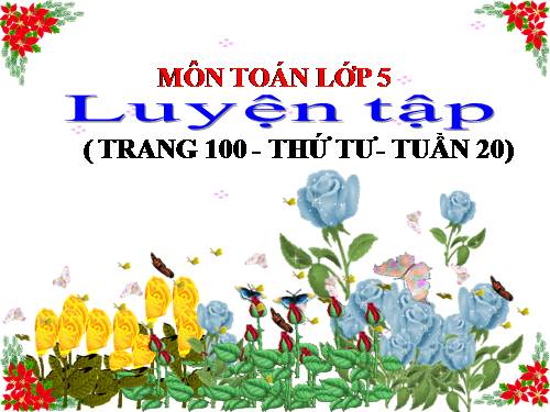 Luyện tập Trang 100